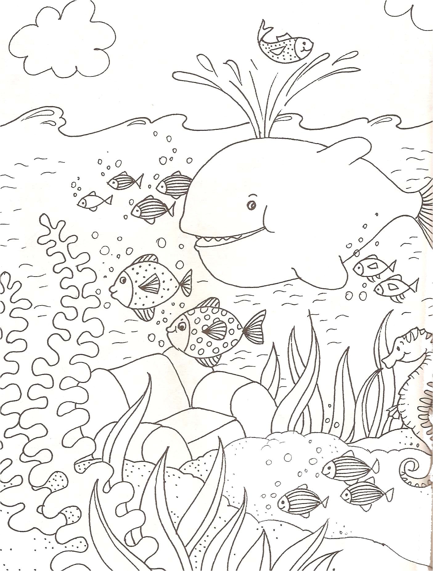 Dessin A Colorier Animaux De La Mer 145 Dessins De Coloriage Animaux   Imprimer