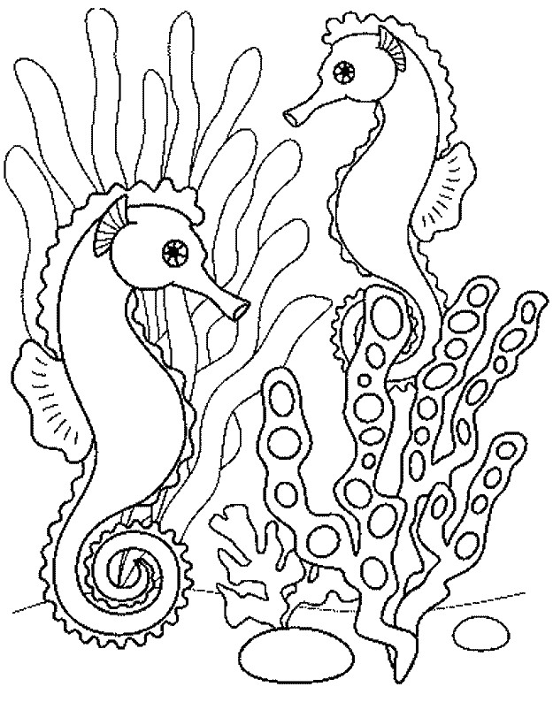 Dessin A Colorier Animaux De La Mer Coloriage Les Animaux Les Beaux Dessins De Meilleurs Dessins  