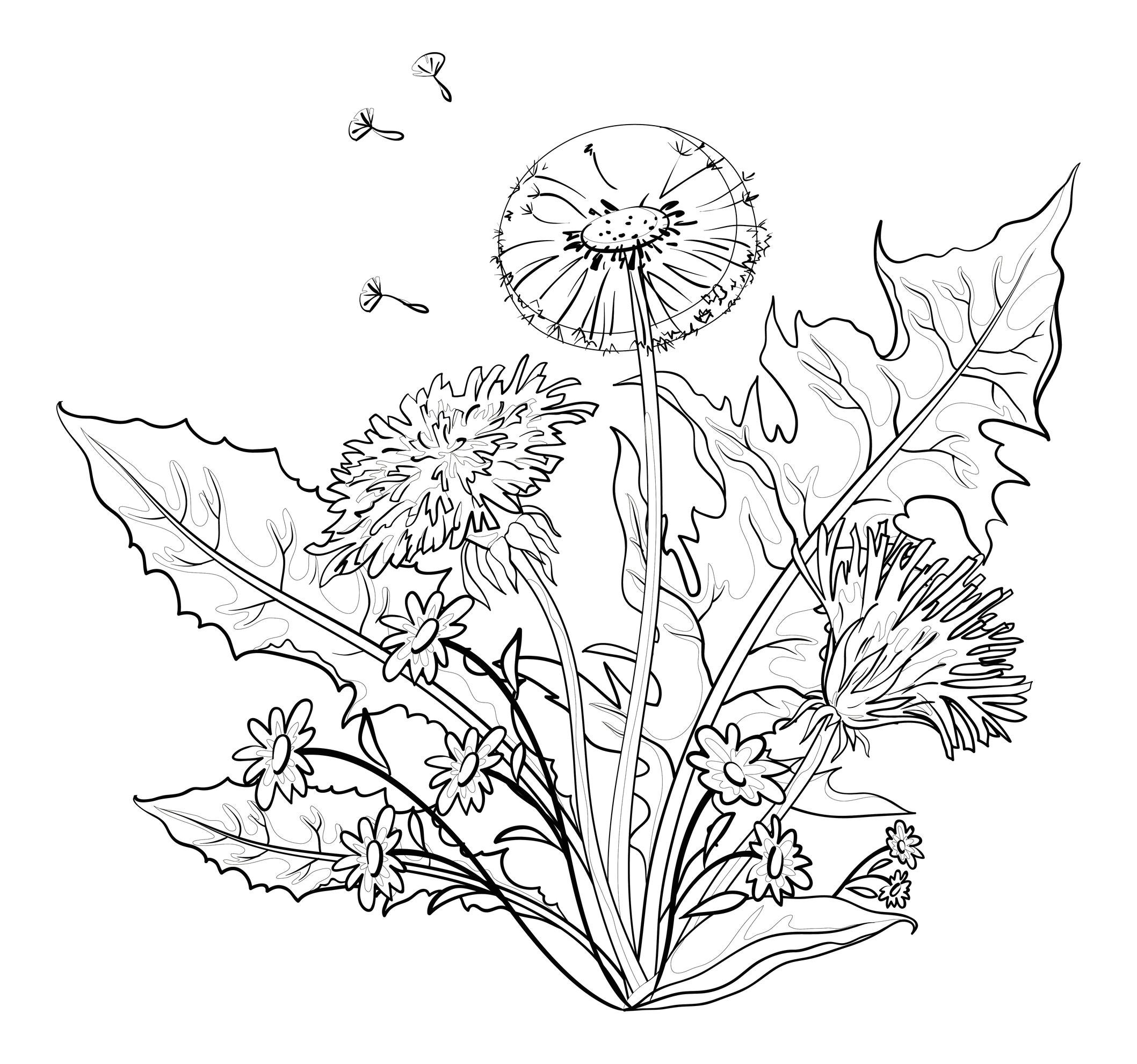 Dessin A Colorier Fleur Adulte Coloriage Adulte Bouquet De Fleurs