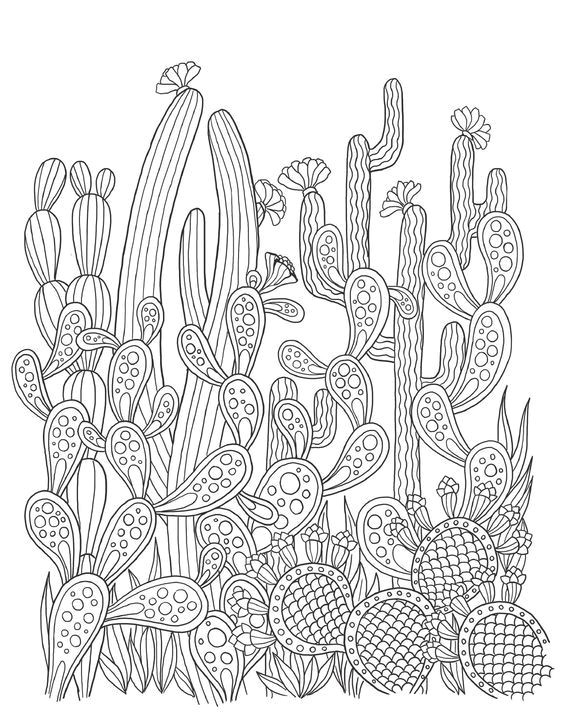 Dessin A Colorier Fleur Adulte épinglé Par Letty De La Cerda Sur Coloring Pages