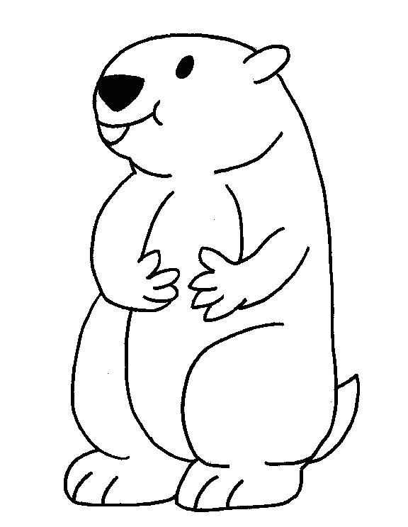 Dessin Coloriage Marmotte Dessin De Coloriage Marmotte   Imprimer Cp