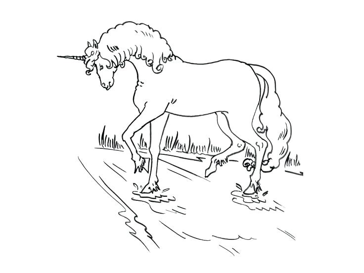 Dessin Coloriage Pegase Coloriage Licorne Princesse A Imprimer Gratuit Coloriage Licorne