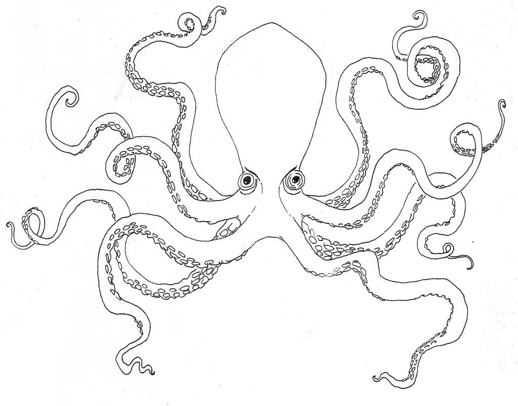 Dessin Coloriage Pieuvre Pieuvre 8 Animaux – Coloriages   Imprimer