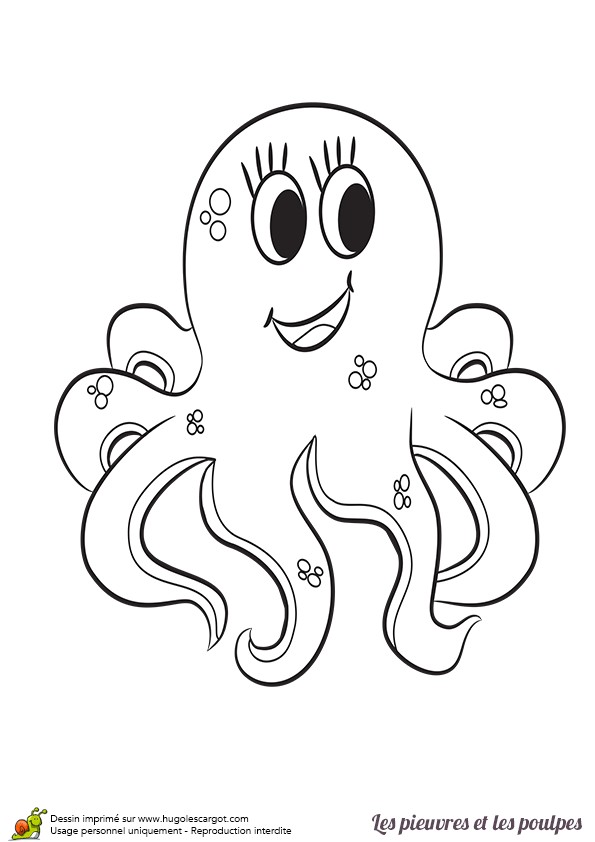 Dessin Coloriage Pieuvre Une Jolie Petite Pieuvre Facile   Colorier