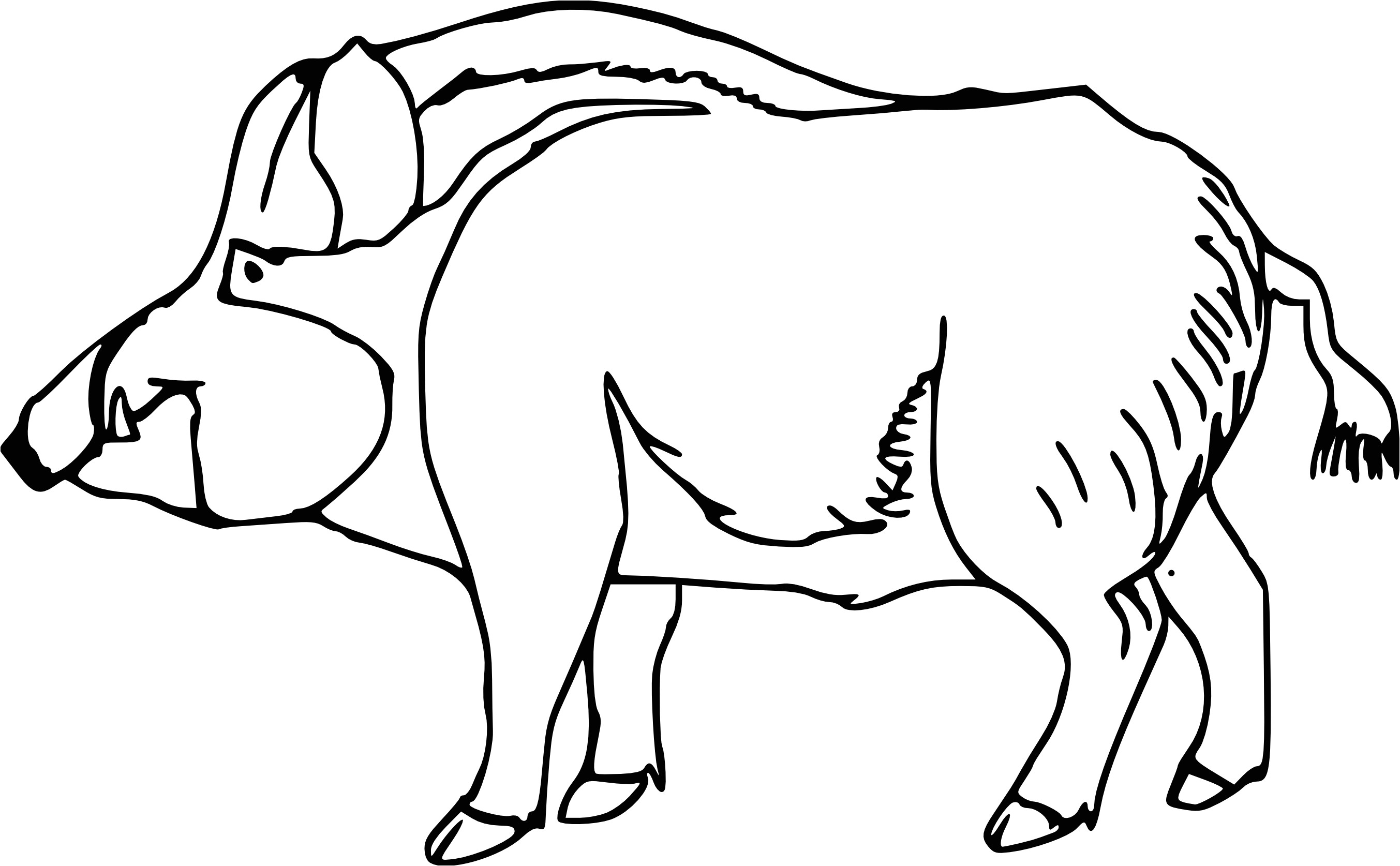 Dessin Coloriage Sanglier Coloriage Sanglier Et Dessin   Imprimer