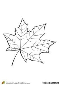 Dessin Feuille D Automne Coloriage Dessin Coloriage Feuille Automne Pinterest