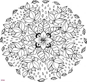 Dessin Feuille D Automne Coloriage Dessin D Automne Colorier Best En Ligne Coloriage Mandala Feuille