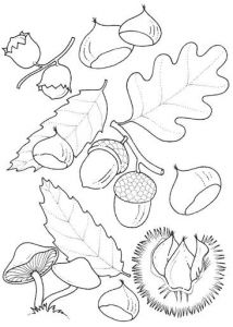Dessin Feuille D Automne Coloriage Dibujos De Flores Plantas Y Arboles Ezpinita lbumes Web De