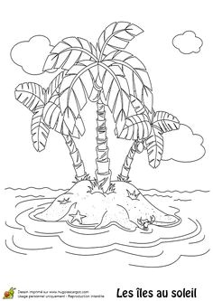 Image Coloriage Palmier 143 Best Coloriages Vacances D été Images On Pinterest