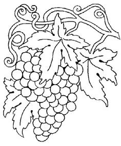 Image Coloriage Raisin Beccy S Place Bunch Of Grapes How to Draw Plants