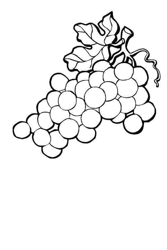Image Coloriage Raisin Coloriage Dessins Nature 62 Idée Pour Cour Ead