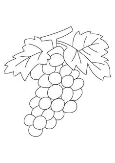 Image Coloriage Raisin Coloriage Pour Enfants De Bonbons Sucettes