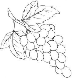 Image Coloriage Raisin Grape 15 Coloring Page Supercoloringpages