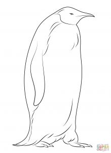 Jeux De Tux Paint Coloriage Penguins Coloring Pages