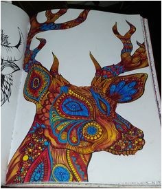 Livre Coloriage Anti Stress Hachette Du Livre Nouveau Bestiaire Extraordinaire 100 Coloriages Anti Sess