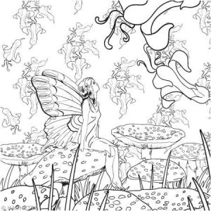 Livre Coloriage Ballerina Livre Coloriage Adulte Anti Stress forªts Féeriques A4 100