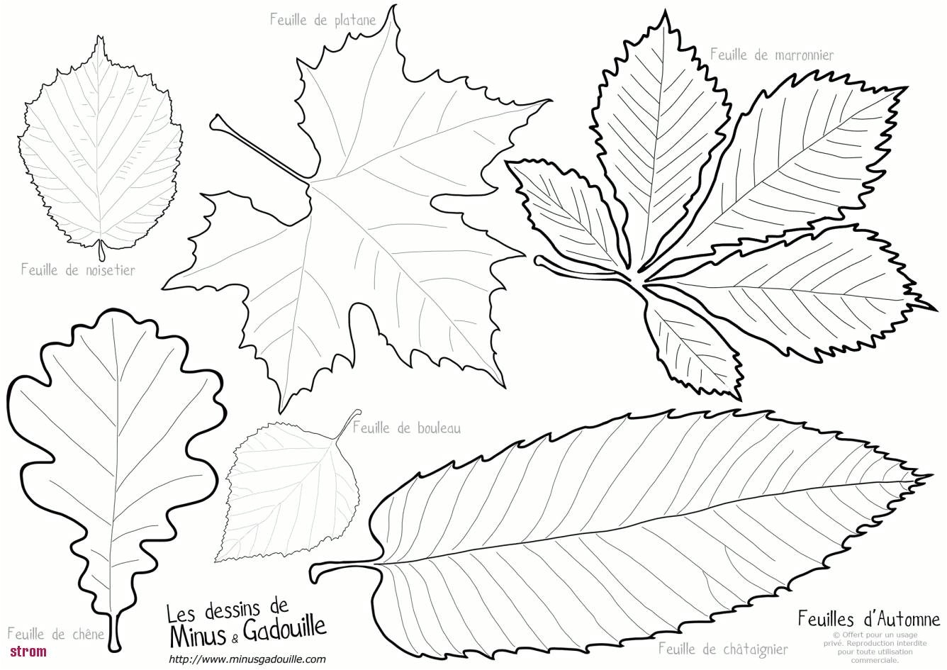 Modele Coloriage Feuille D Automne 21 Beau Idées Dessin D Automne Colorier