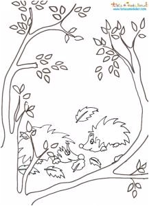Modele Coloriage Feuille D Automne Coloriage D Un Paysage D Automne Tªte   Modeler