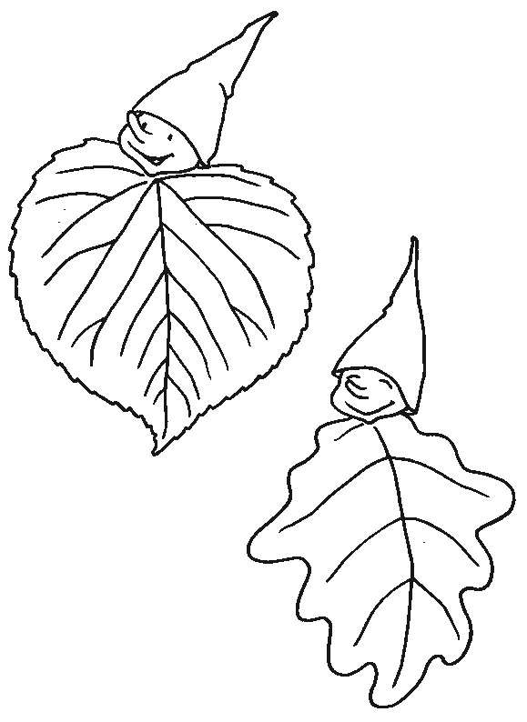 Modele Coloriage Feuille D Automne Coloriage Octobre Les Beaux Dessins De Les Mois   Imprimer Et