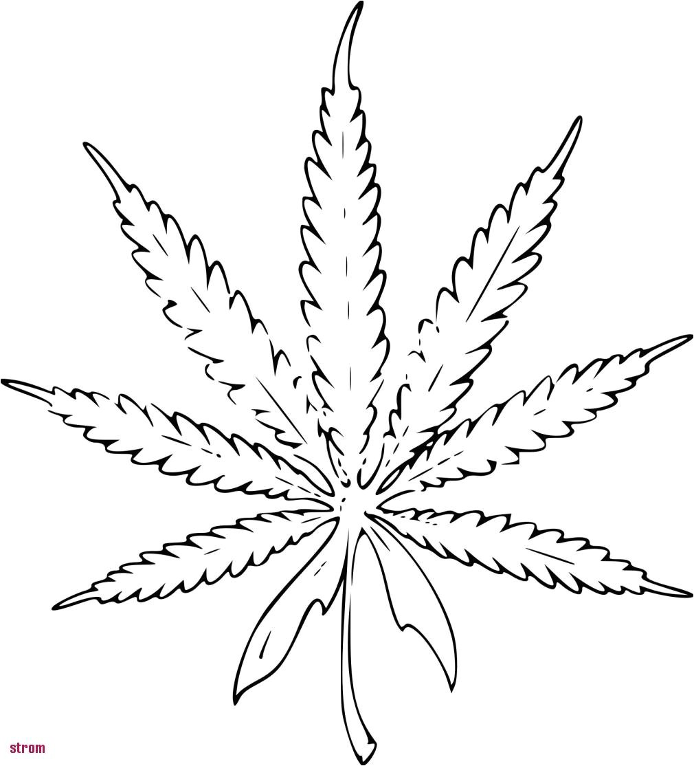 Modele Coloriage Feuille D Automne Coloriage Une Feuille Excellent Mod¨le Coloriage Feuille De Cannabis