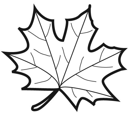 Modele Coloriage Feuille D Automne Dessin Coloriage Feuille ÎÎ­Î½ÏÏÎ± Pinterest