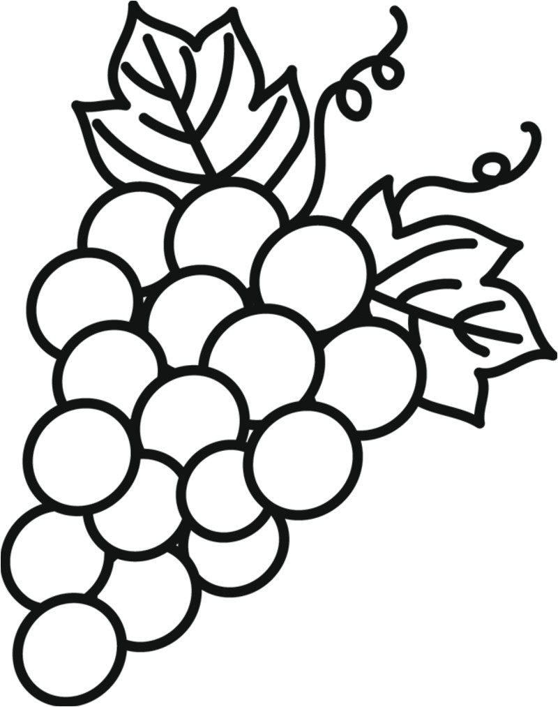 Raisin Dessin Coloriage Coloriage Aliments