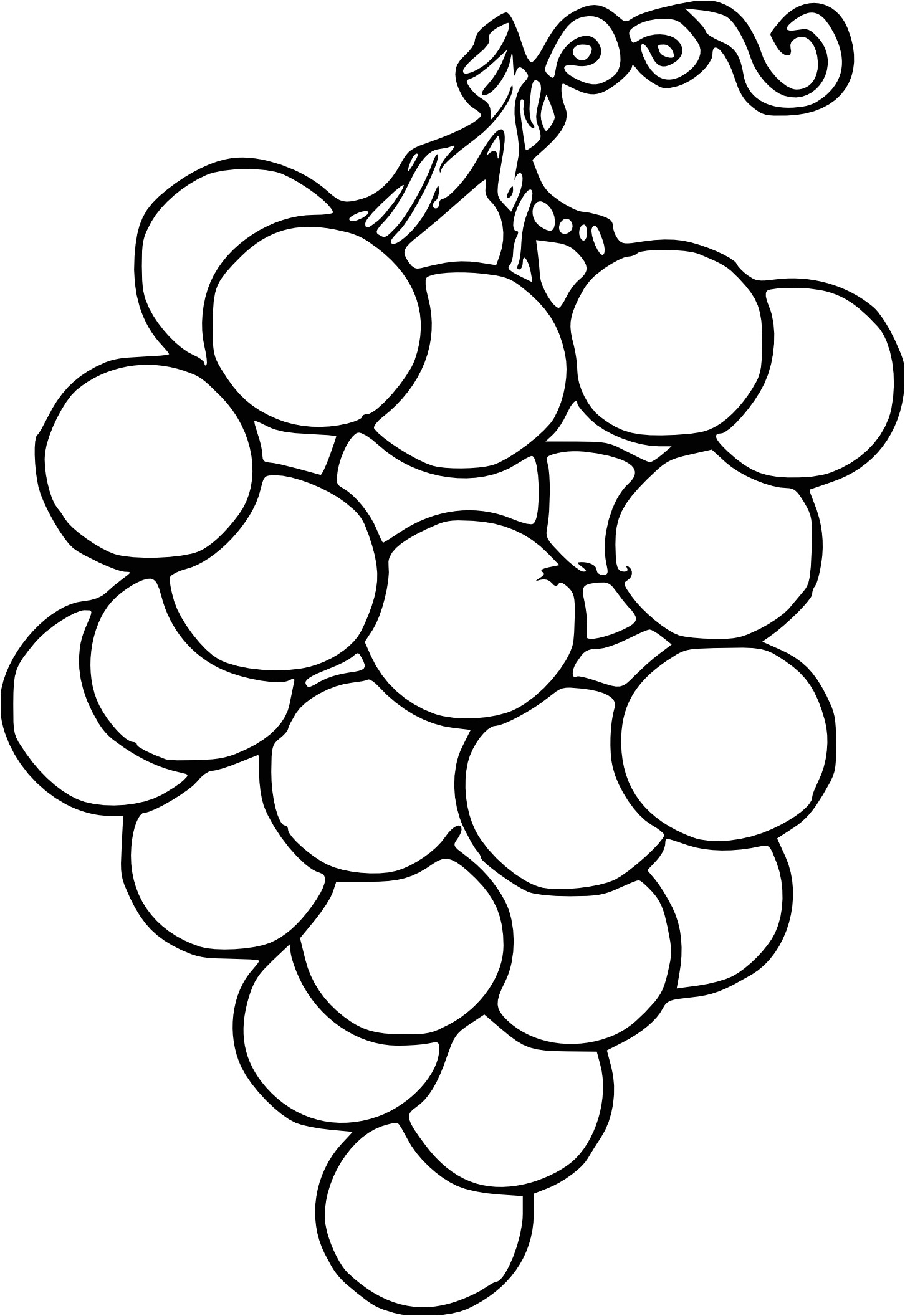 Raisin Dessin Coloriage Coloriage Prune   Imprimer