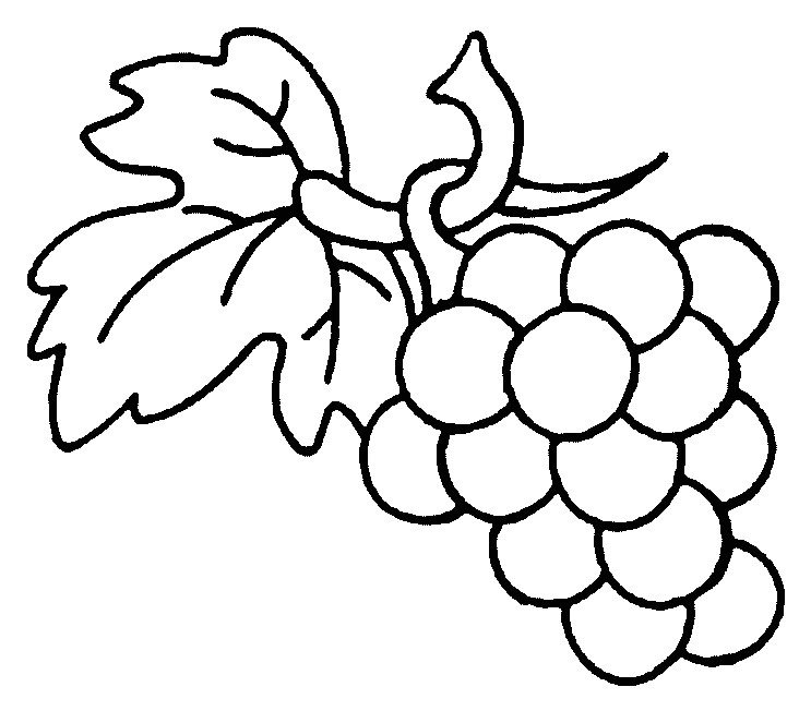 Raisin Dessin Coloriage Coloriages   Imprimer Raisin Numéro