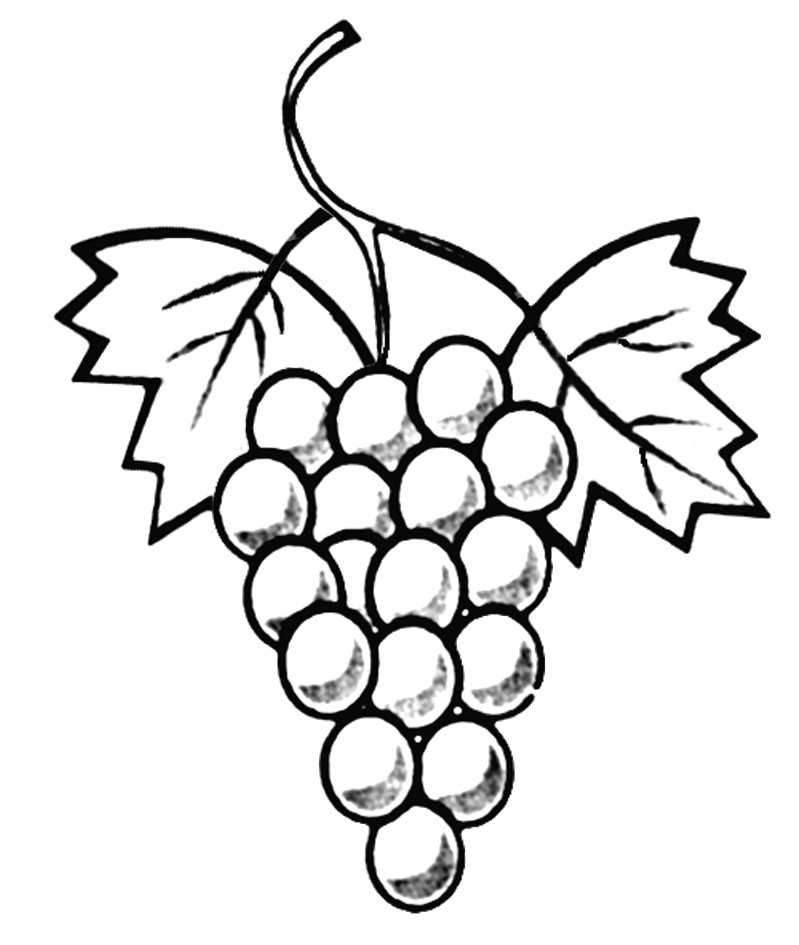 Raisin Dessin Coloriage Raisin Drawing at Getdrawings