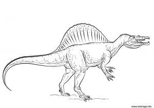 Tyrannosaure Dessin Coloriage Coloriage Spinosaurus Dessin