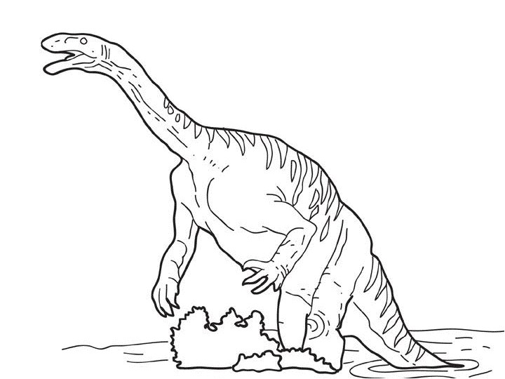 Tyrannosaure Dessin Coloriage Dessins De Dinosaures   Colorier