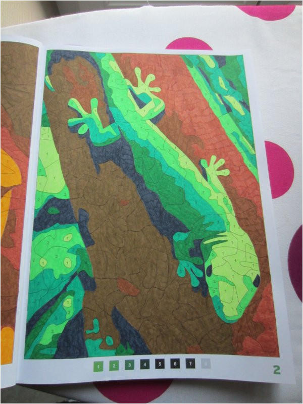 100 Coloriages Mystères Art Thérapie Coloriage Mystère N°2 Art Thérapie 100 Coloriages Anti