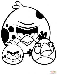 Angry Birds Coloriage Gratuit Angry Birds Coloring Pages