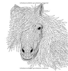 Beau Coloriage De Chevaux Coloriage Chevaux