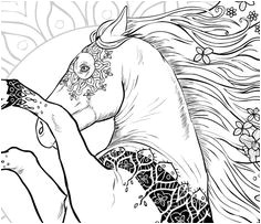 Beau Coloriage De Chevaux Coloriage Chevaux