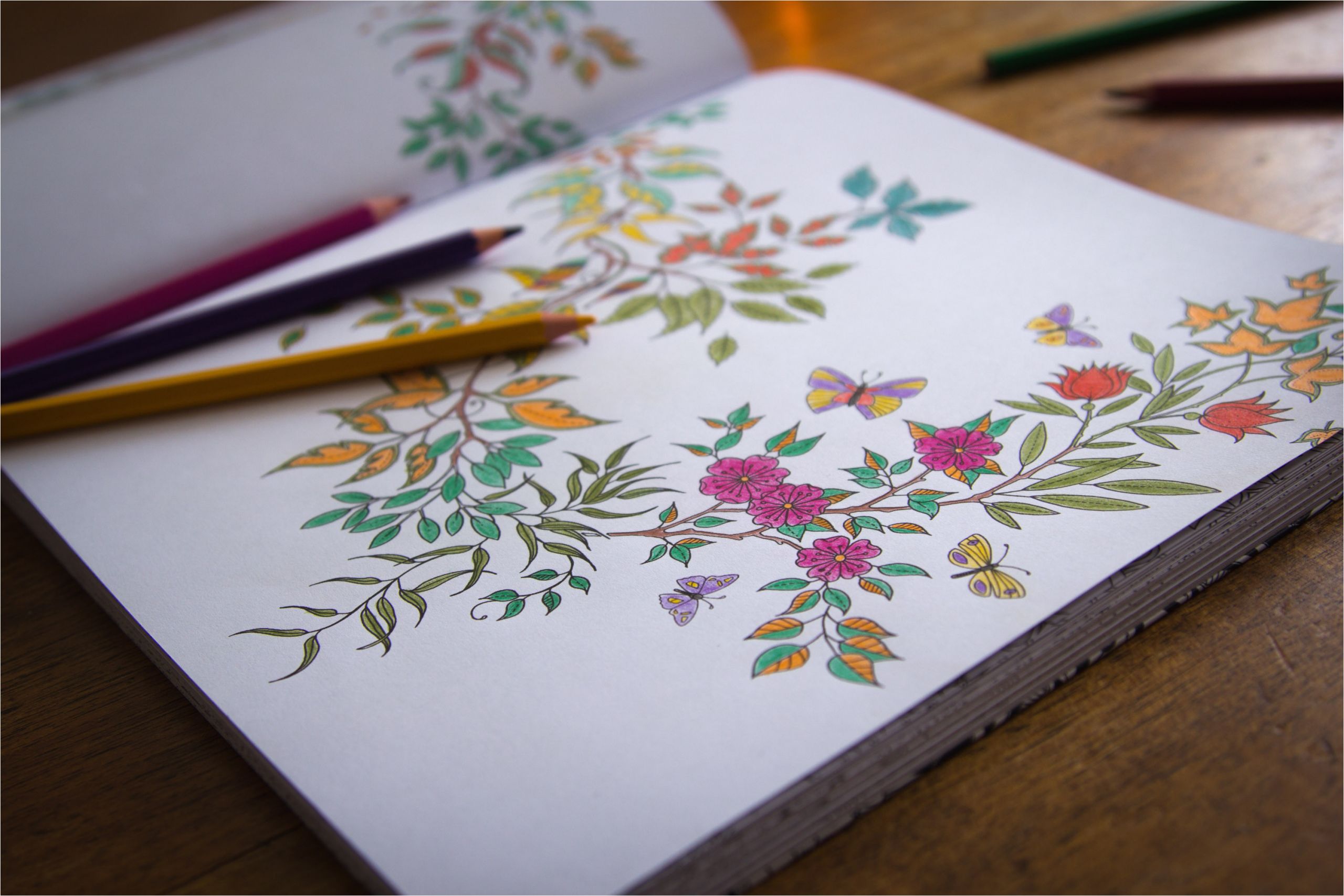 Blog Coloriage Art Thérapie Art Thérapie Le Coloriage Pour Adultes – Si&amp;talk