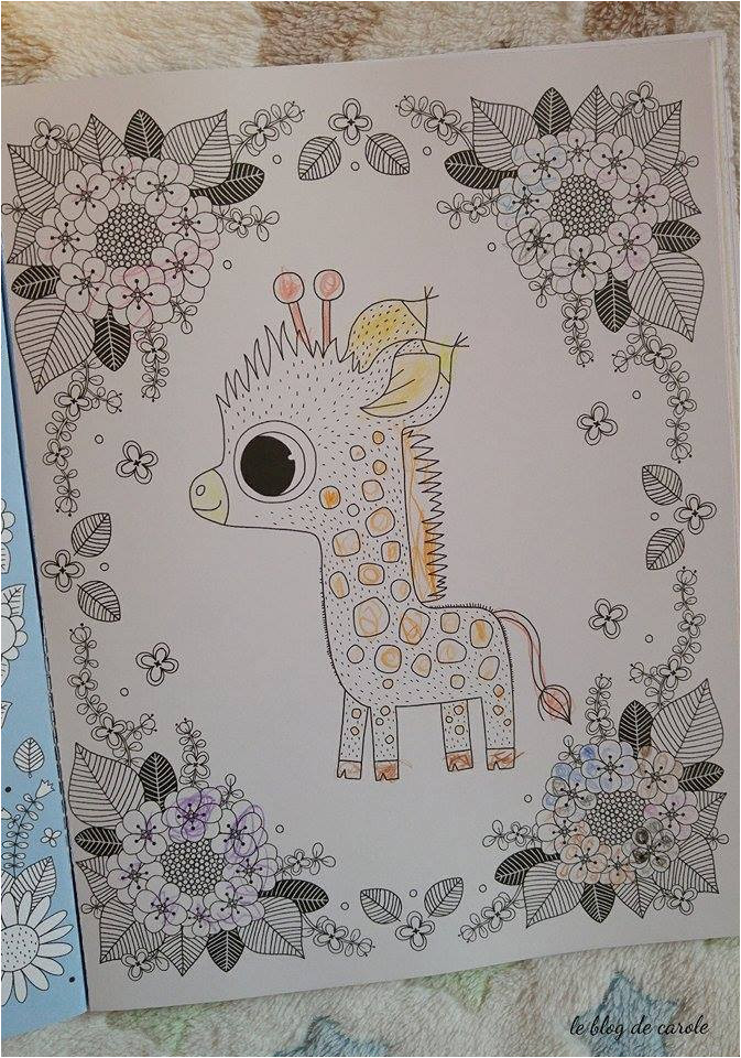 Cahier De Coloriage Zen A Chacun son Cahier De Coloriage Zen Le Blog De Carole