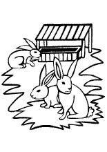 Coloriage 4 Ans à Imprimer Gratuit 5 6 Ans Page De Coloriages En Ligne N°10