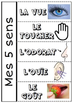 Coloriage 5 Sens Maternelle 229 Meilleures Images Du Tableau La Maternelle En 2019