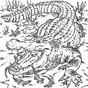 Coloriage A Imprimer Animaux Imaginaires Dessin Crocodiles A Colorier En 2020