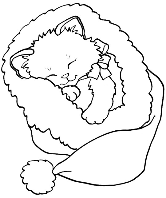 Coloriage A Imprimer Chat Dessin
