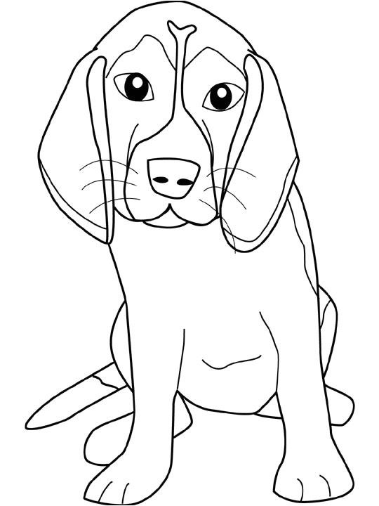 Coloriage A Imprimer Chien Gratuit Coloriage Chien à Imprimer