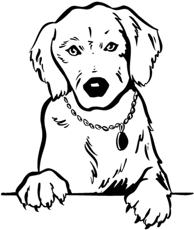 Coloriage A Imprimer Chien Gratuit Dessin De Chien Trop Mignon A Imprimer Gratuit Les