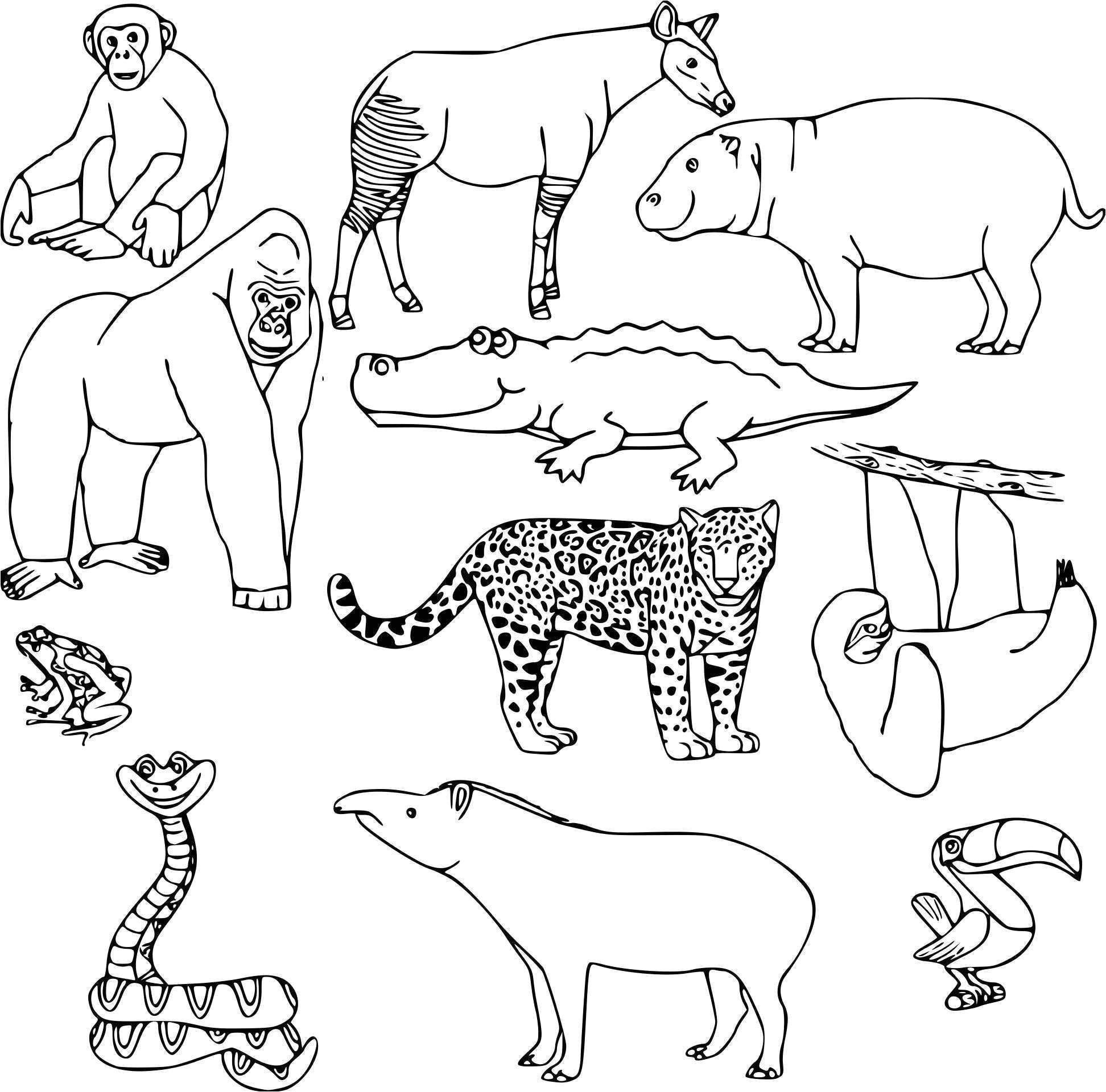 Coloriage A Imprimer D Animaux Sauvages Animaux Sauvages D Afrique Dessin Luxe Coloriage Animaux