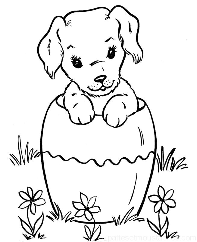 Coloriage A Imprimer D Animaux Trop Mignon Dessin De Chiot Trop Mignon