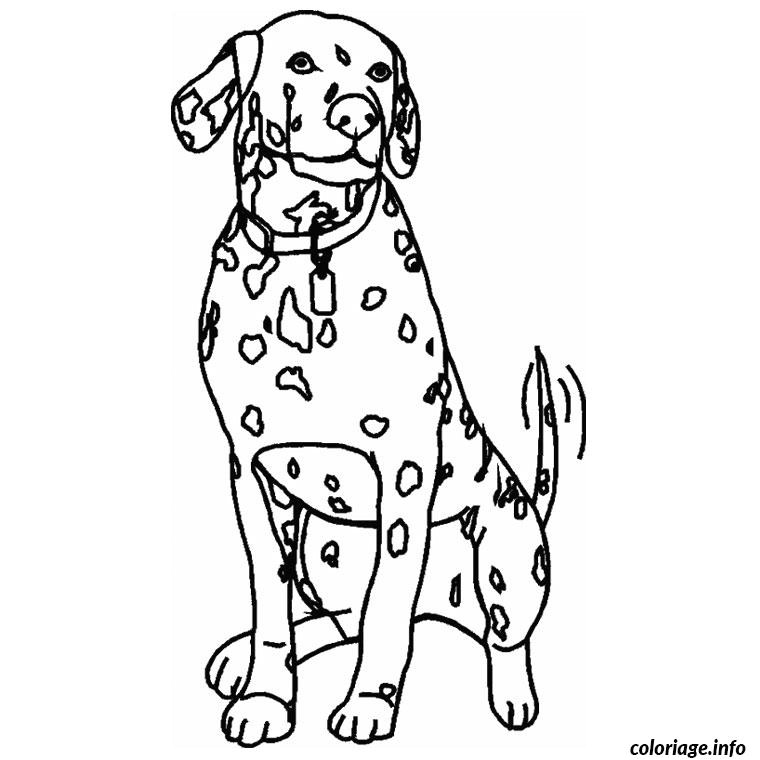 Coloriage A Imprimer Dalmatien Coloriage Chien Dalmatien Dessin