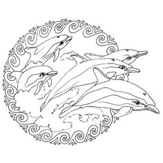 Coloriage A Imprimer Dauphin Les 251 Meilleures Images De Dauphin Brico