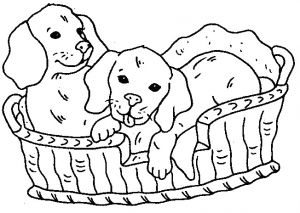 Coloriage A Imprimer De Chien Coloriage204 Coloriage à Imprimer De Chien