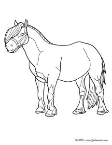 Coloriage à Imprimer De Poney Coloriage204 Coloriage De Poney à Imprimer