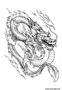 Coloriage A Imprimer Dragon 3 Coloriage Dragon Chinois 3 Jecolorie